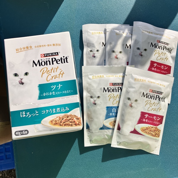 猫の譲渡会&相談会(2026年1月17日)