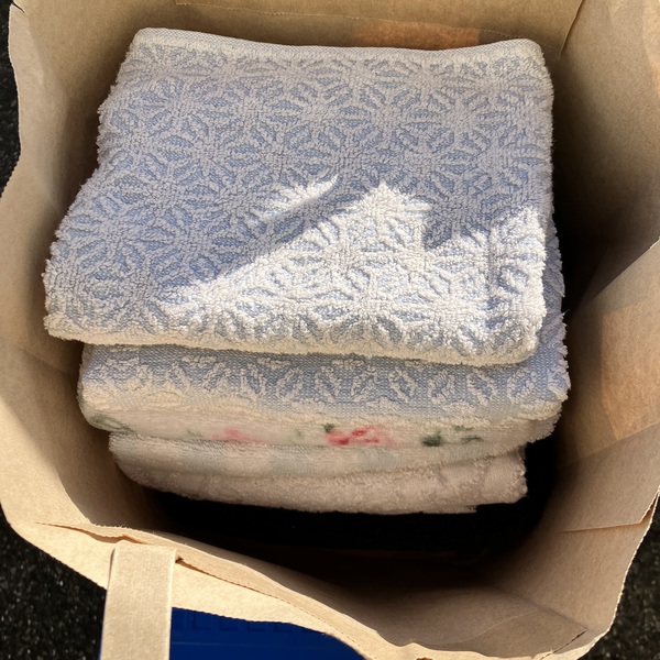 猫の譲渡会&相談会(2026年1月17日)