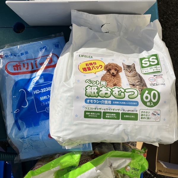 猫の譲渡会&相談会(2026年1月17日)