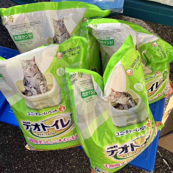 猫の譲渡会&相談会(2026年1月17日)