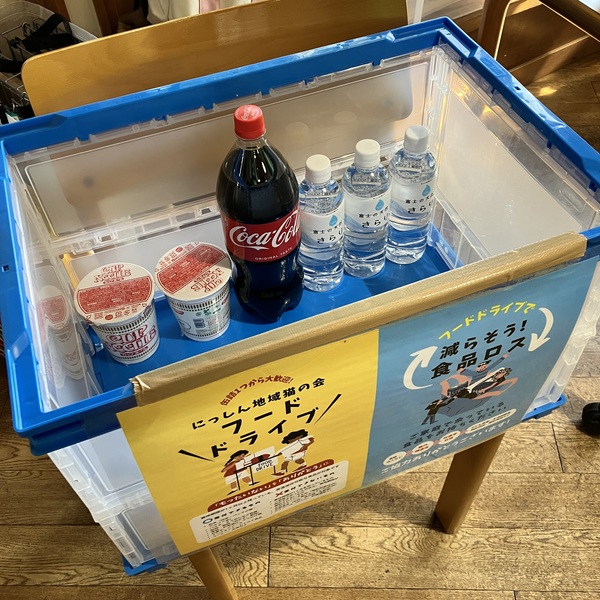 猫の譲渡会&相談会(2026年1月17日)