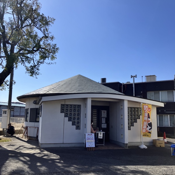 猫の譲渡会＆相談会（2026年2月21日）