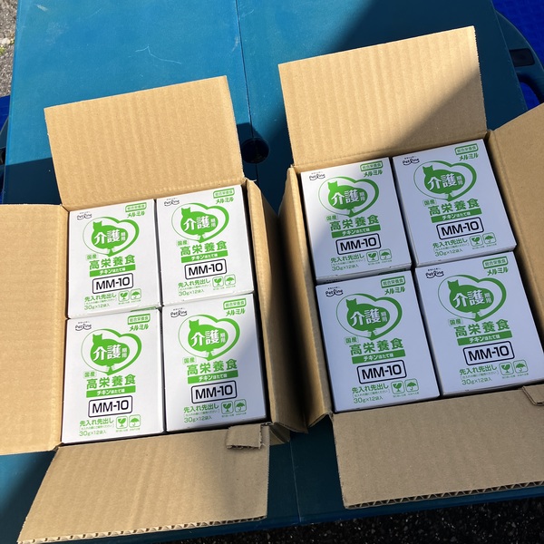 猫の譲渡会＆相談会（2026年2月21日）