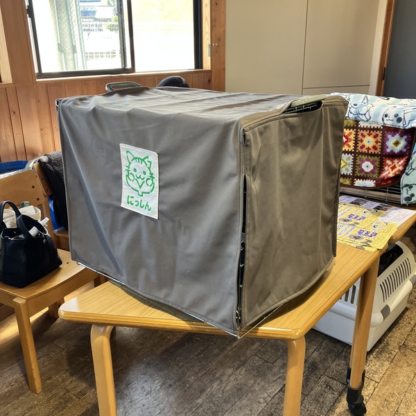 猫の譲渡会＆相談会（2026年2月21日）