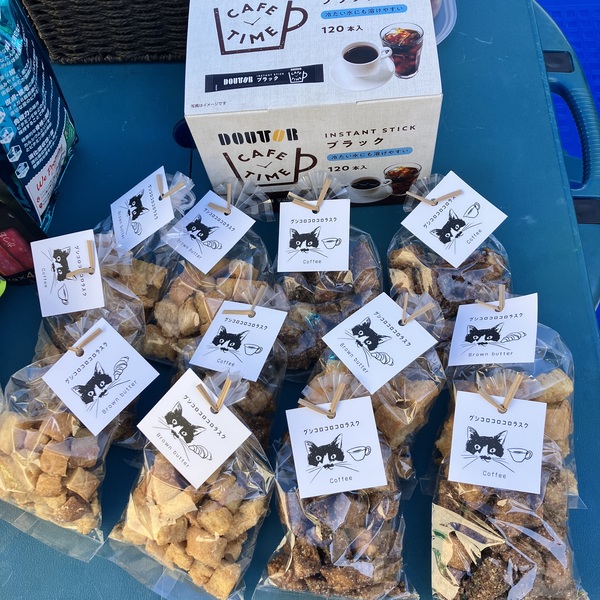 猫の譲渡会＆相談会（2026年2月21日）