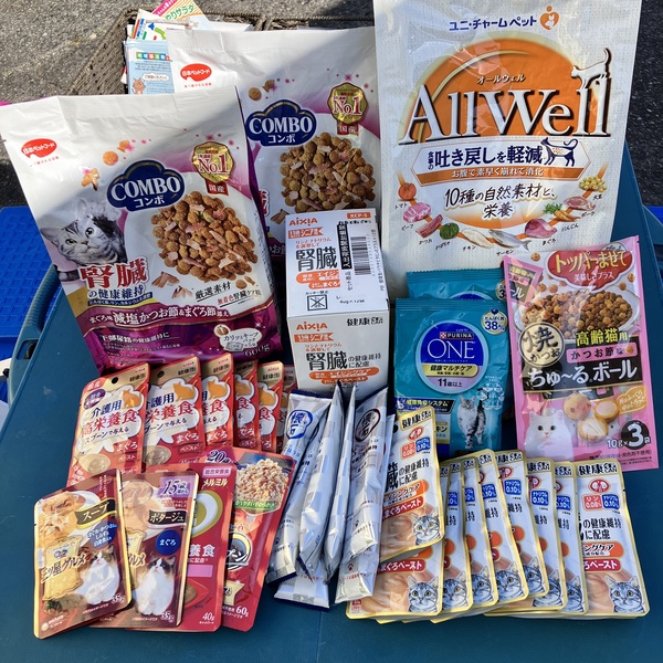 猫の譲渡会＆相談会（2026年2月21日）