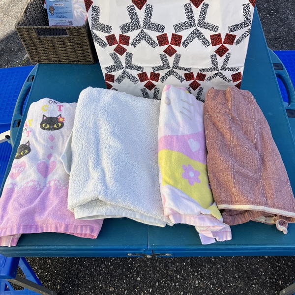 猫の譲渡会＆相談会（2026年2月21日）