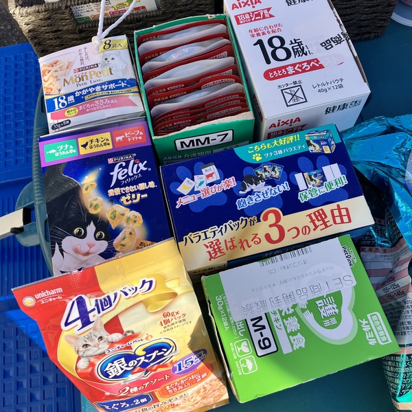 猫の譲渡会＆相談会（2026年2月21日）