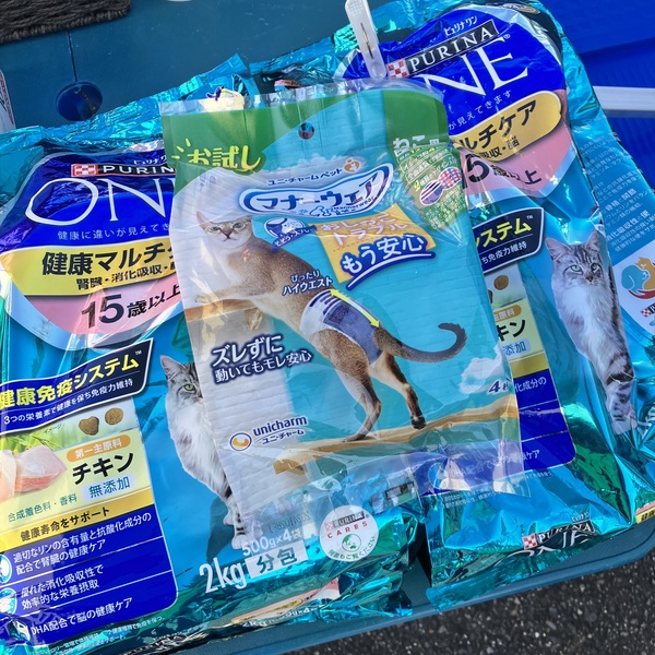 猫の譲渡会＆相談会（2026年2月21日）