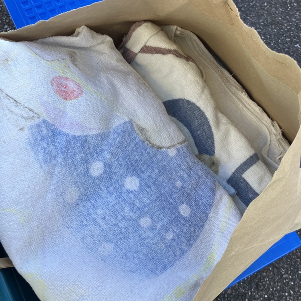 猫の譲渡会＆相談会（2026年2月21日）