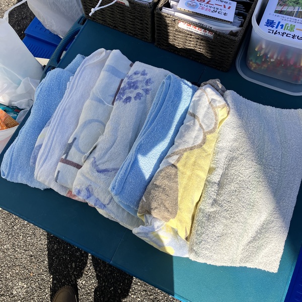 猫の譲渡会＆相談会（2026年2月21日）