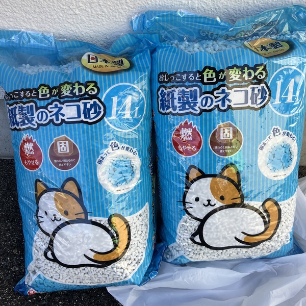 猫の譲渡会＆相談会（2026年2月21日）