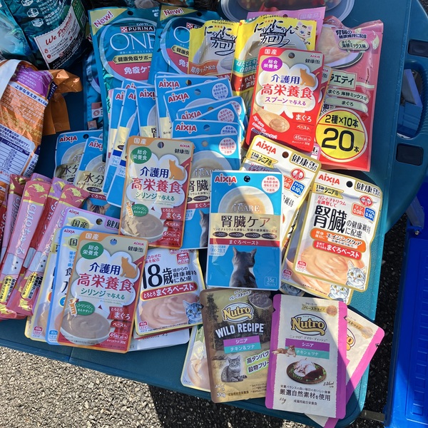 猫の譲渡会＆相談会（2026年2月21日）